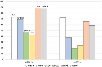 Diversity of respiratory viruses present in nasal swabs under influenza suspicion in respiratory disease cases of weaned pigs